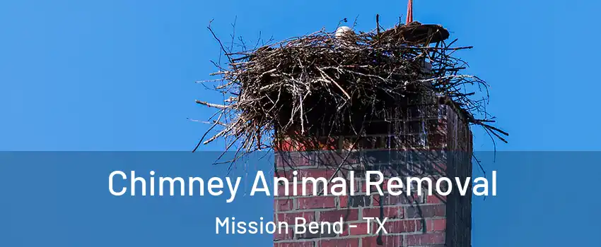  Chimney Animal Removal Mission Bend - TX