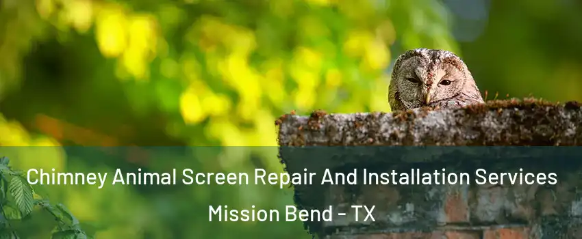 Chimney Animal Screen Repair And Installation Services Mission Bend - TX
