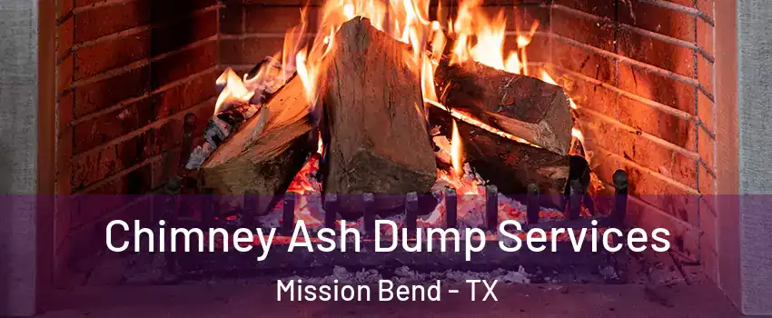  Chimney Ash Dump Services Mission Bend - TX