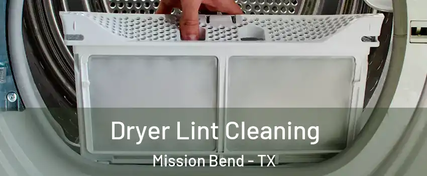  Dryer Lint Cleaning Mission Bend - TX