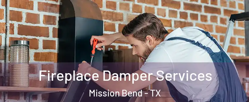  Fireplace Damper Services Mission Bend - TX