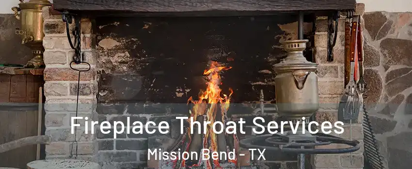  Fireplace Throat Services Mission Bend - TX
