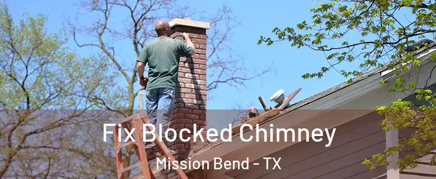  Fix Blocked Chimney Mission Bend - TX