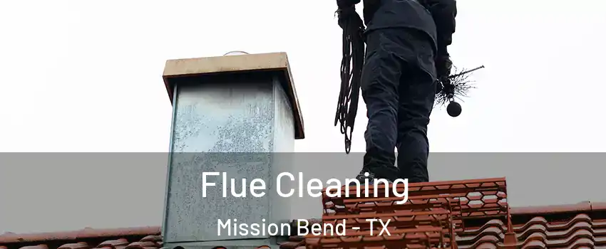  Flue Cleaning Mission Bend - TX