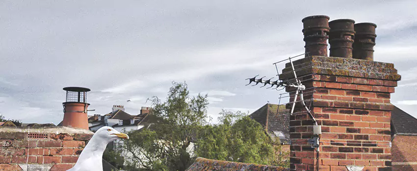 Chimney Cleaning And Restoration in Mission Bend, Texas