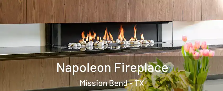 Napoleon Fireplace Mission Bend - TX